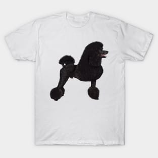 Elegant Black Standard Poodle T-Shirt